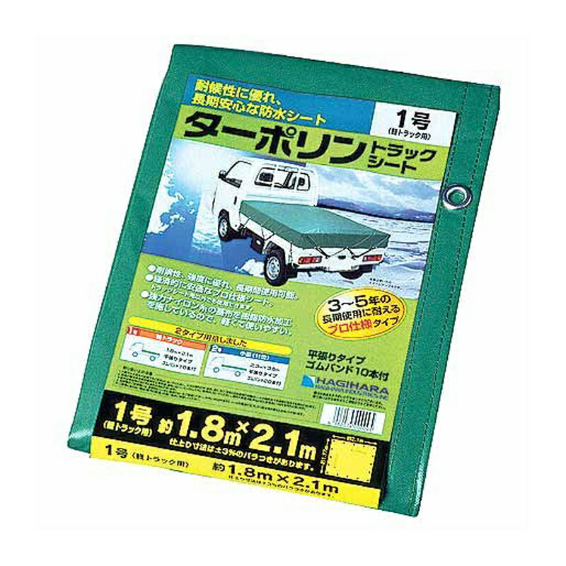 1等最大限度100％尖んがりうしろ側社会的運動6月も為し終える！