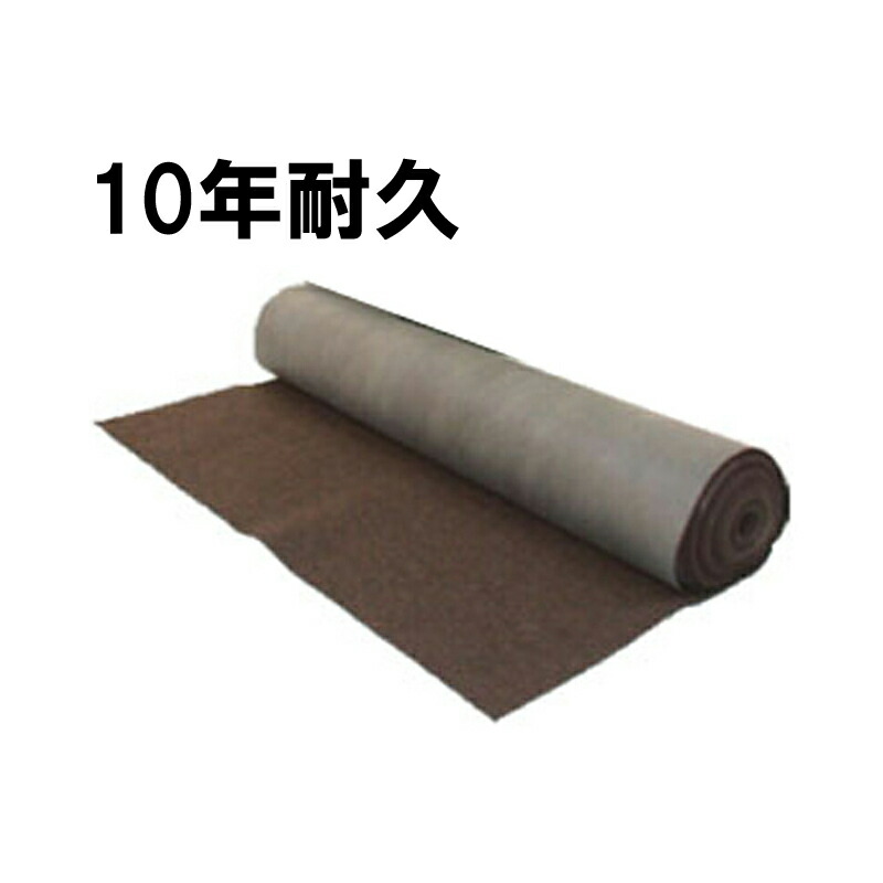 1等最大限度100％尖んがりうしろ側社会的運動6月も遣り遂げる！