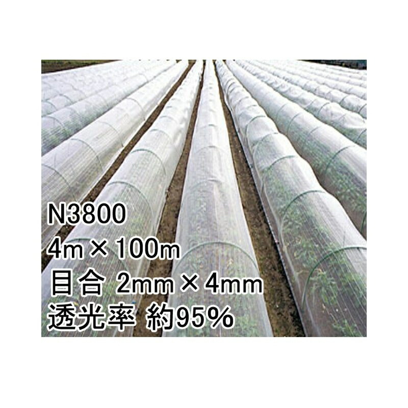 【4/30までエントリーで最大100%Pバック】4m×100m ナチュラル 防虫サンサンネット N3800 ビニールハウス トンネル などに 防虫ネット 日本ワイドクロス タS 代引不可