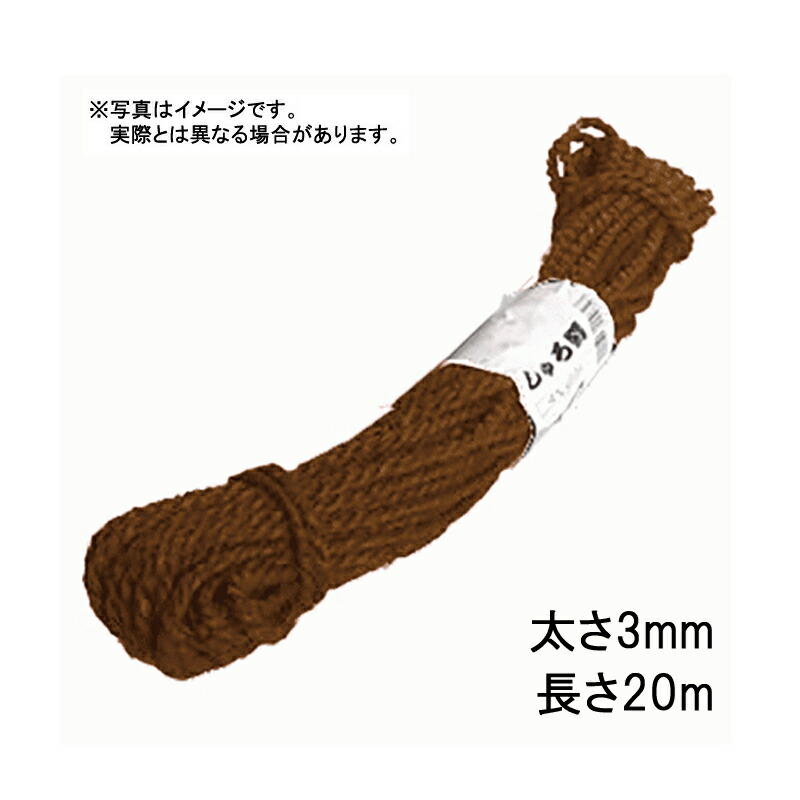 1等最大限度100％尖んがりうしろ側社会的運動6月も為し終える！