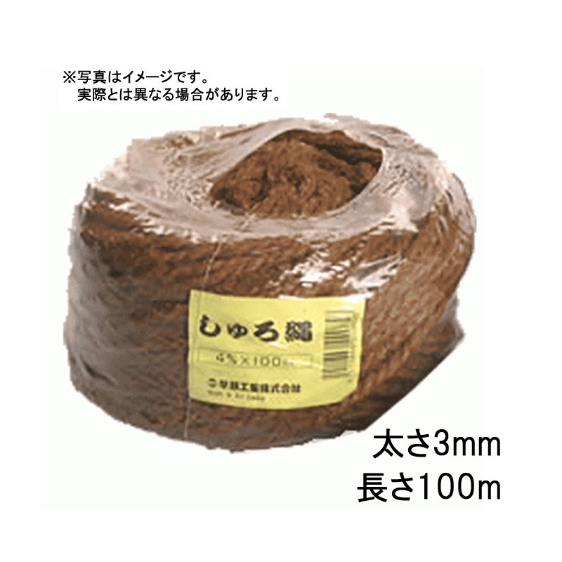 1等最大限度100％尖んがりうしろ側社会的運動6月も為し終える！