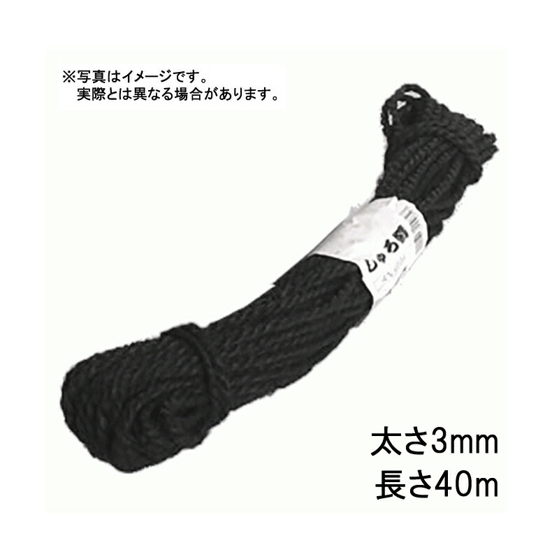 1等最大限度100％尖んがりうしろ側社会的運動6月も為し終える！