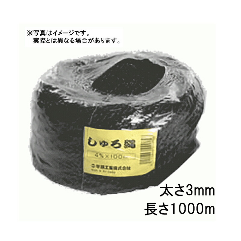 1等最大限度100％尖んがりうしろ側社会的運動6月も為し終える！