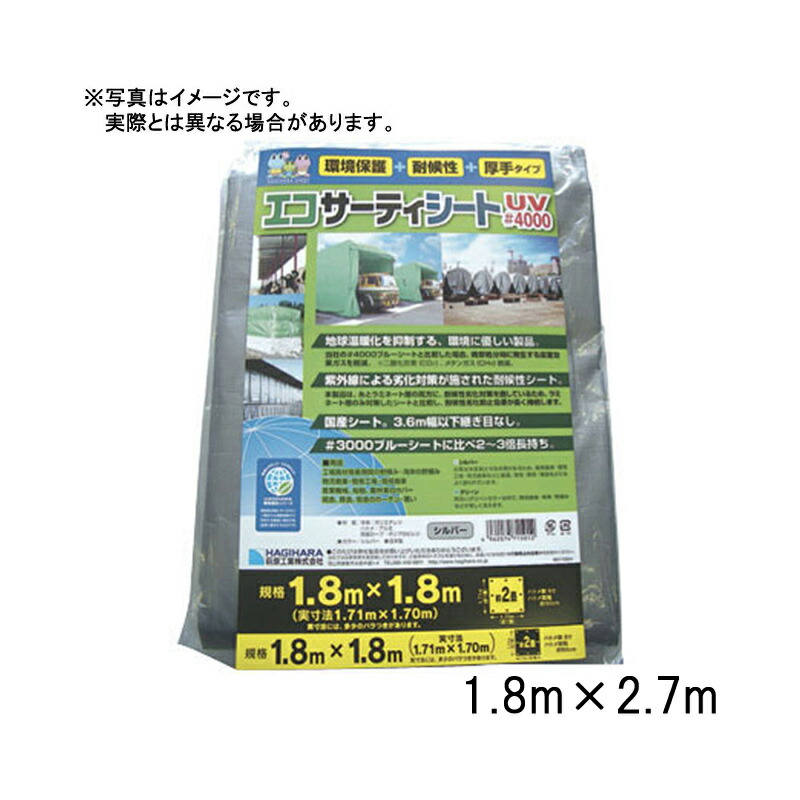 1等最高限度100％尖んがりうしろ側組織的運動6月も為し終える！