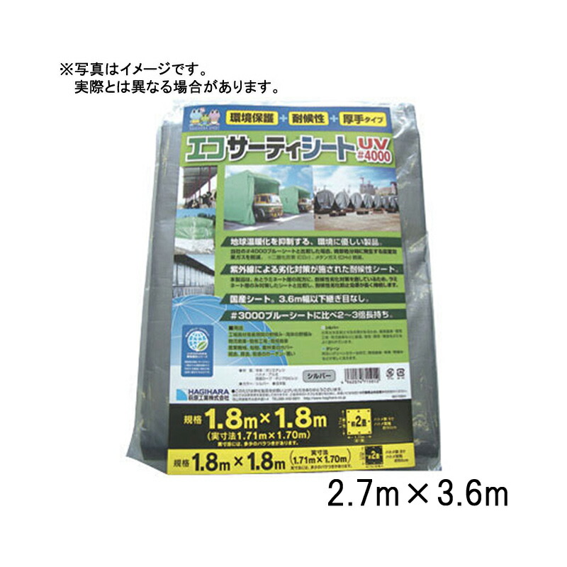 1等最高限度100％尖んがりうしろ側組織的運動6月も為し終える！