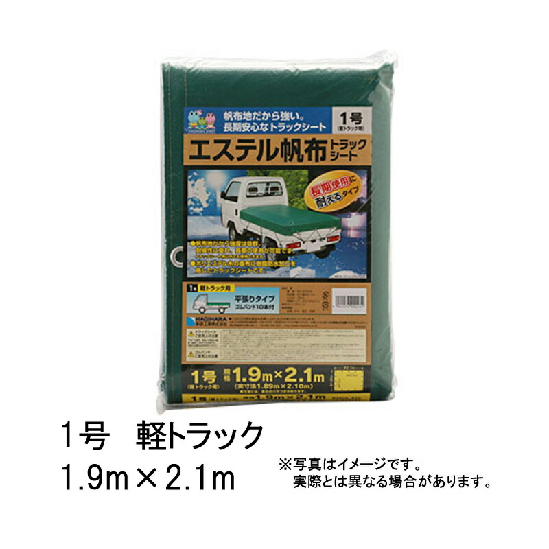 1等最高限度100％尖んがりうしろ側組織的運動6月も為し終える！
