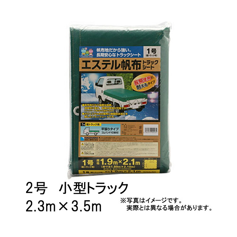 1等最高限度100％尖んがりうしろ側組織的運動6月も為し終える！
