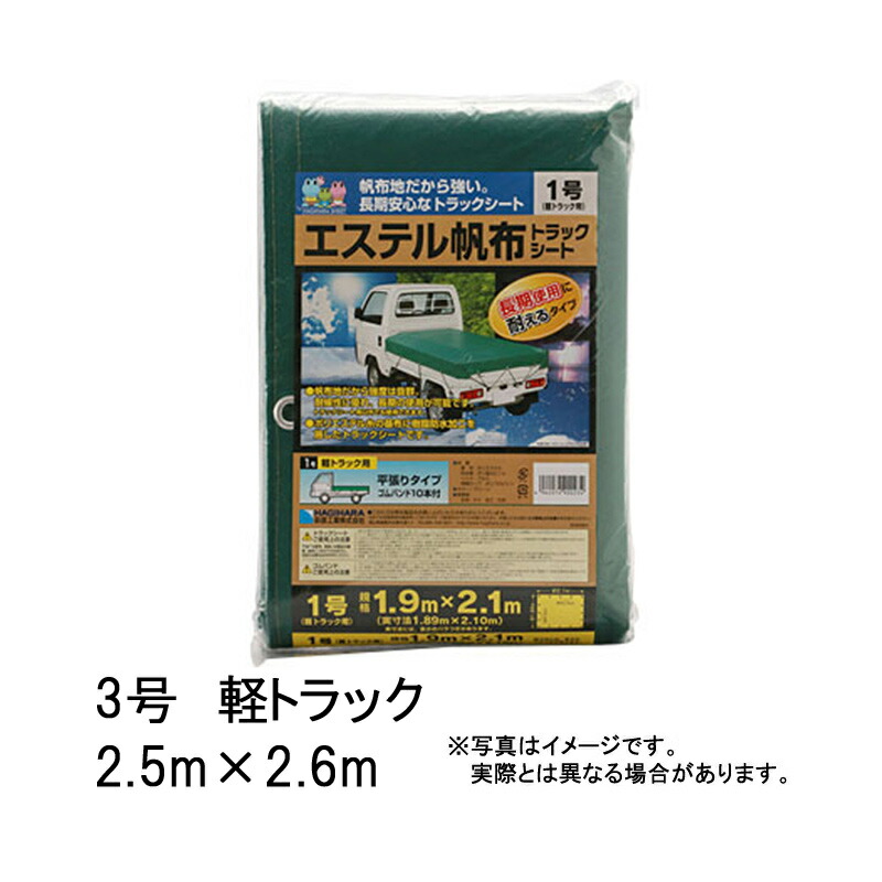 1等最高限度100％尖んがりうしろ側組織的運動6月も為し終える！