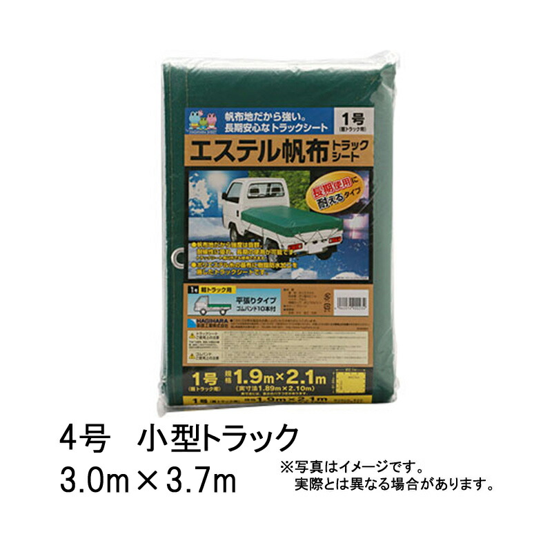 1等最大限度100％尖んがりうしろ側社会的運動6月も為し終える！