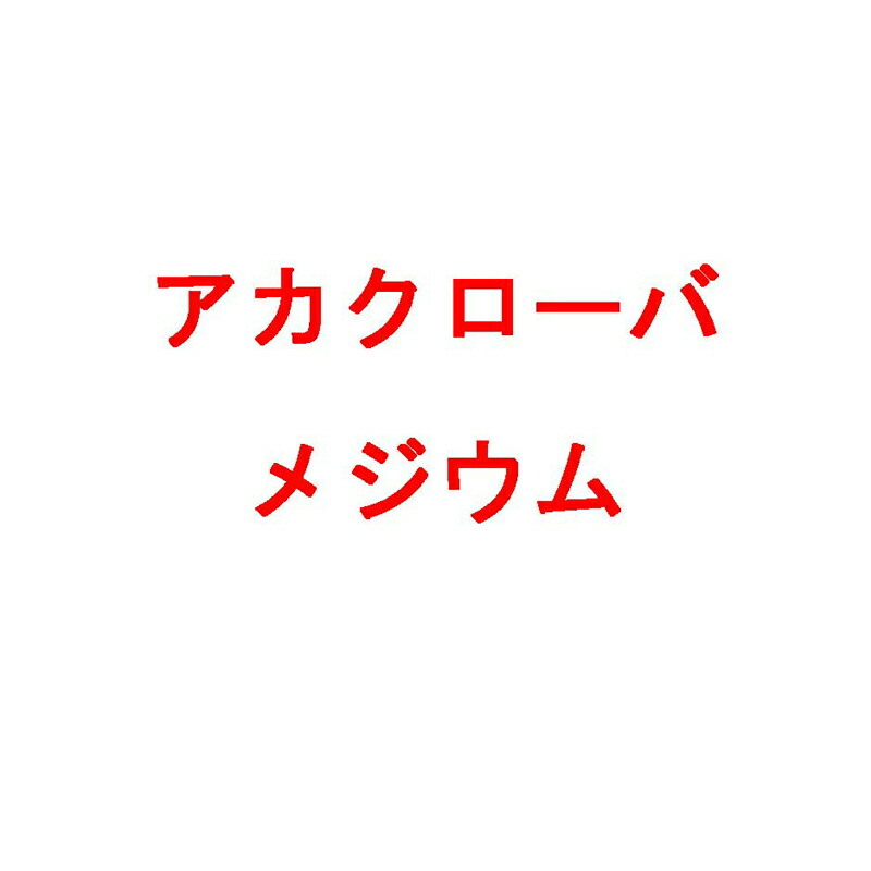 【7/1～最大100%Pバック抽選で要エントリー】種 4kg アカクローバ メジウム 早生 畑地 酪農 景観用 緑肥 雪印種苗 米S 代引不可 (登録品種名:メジウム)｜農業用品販売のプラスワイズ 11,323円