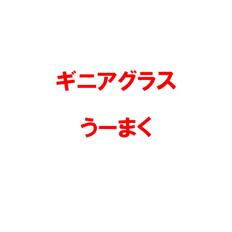 【4/30までエントリーで最大100%Pバック】種 1kg PVP ギニアグラス うーまく 雪印種苗 米S 代引不可 (海外持出禁止 登録品種名: うーまく 農林水産省品種登録:第22050号) 8,488円