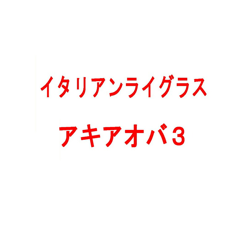 【4/30までエントリーで最大100%Pバック】種 3kg PVP イタリアンライグラス アキアオバ3 雪印種苗 米S 代引不可 (海外持出禁止 登録品種名:アキアオバ3 農林水産省品種登録:第18093号)