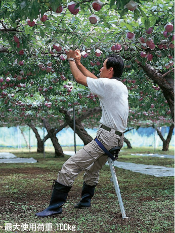 楽天市場】アルミステップ SH-30 高さ30cm 果樹踏み台 棚下用アルミ