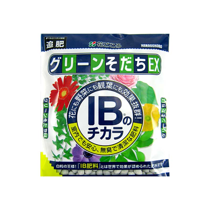 【7/1~最大100%Pバック抽選で要エントリー】90個 花ごころ IBのチカラ グリーンそだちEX 80g 追肥 観葉植物 草花 野菜 肥料 タS 個人宅配送不可 代引不可|農業用品販売のプラスワイズ