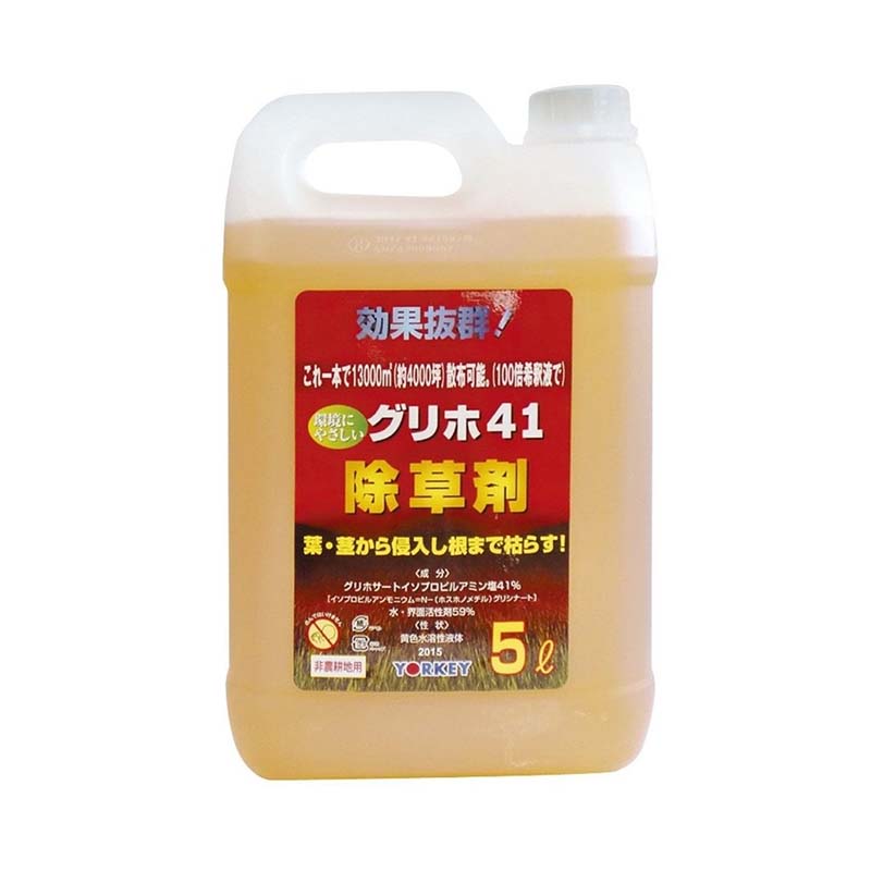 1等最大限度100％尖んがりうしろ側社会的運動6月も執り行なう！