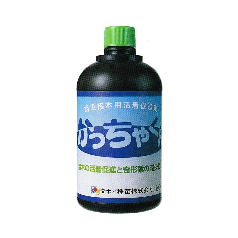 1等最高限度100％尖んがりうしろ側組織的運動6月も為し終える！