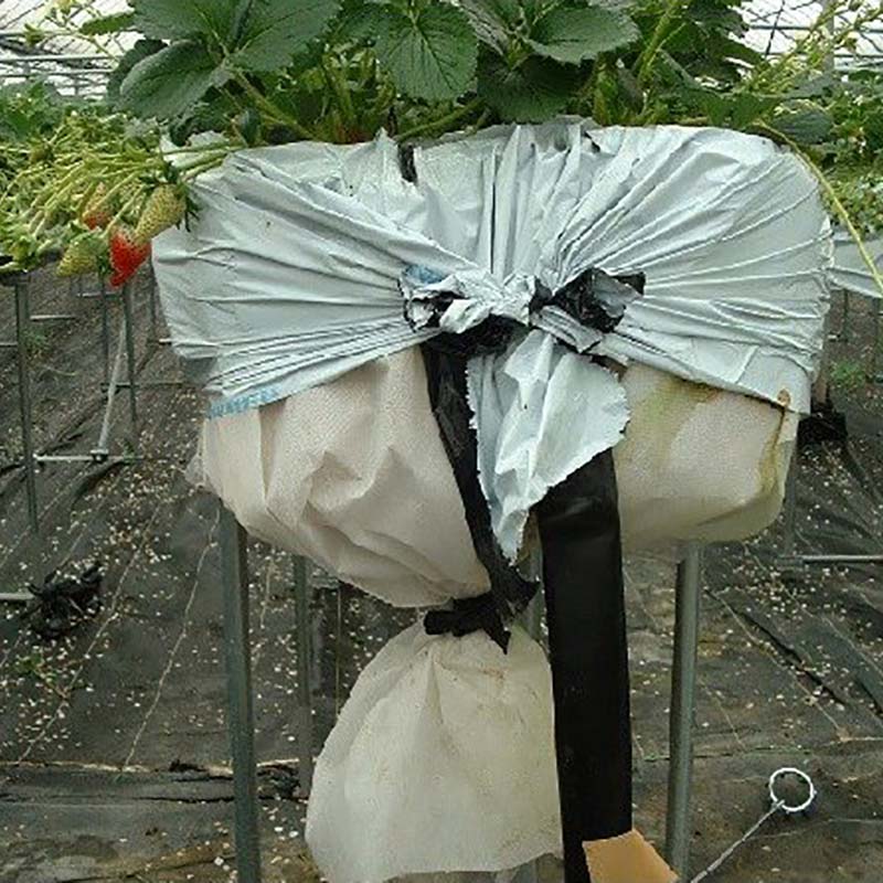 楽天市場】ルートラップシート 白 幅100cm×100m 厚み0.24mm ぶどう 等