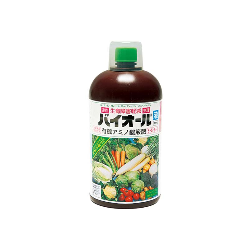 1等最高限度100％尖んがりうしろ側組織的運動6月も為し終える！