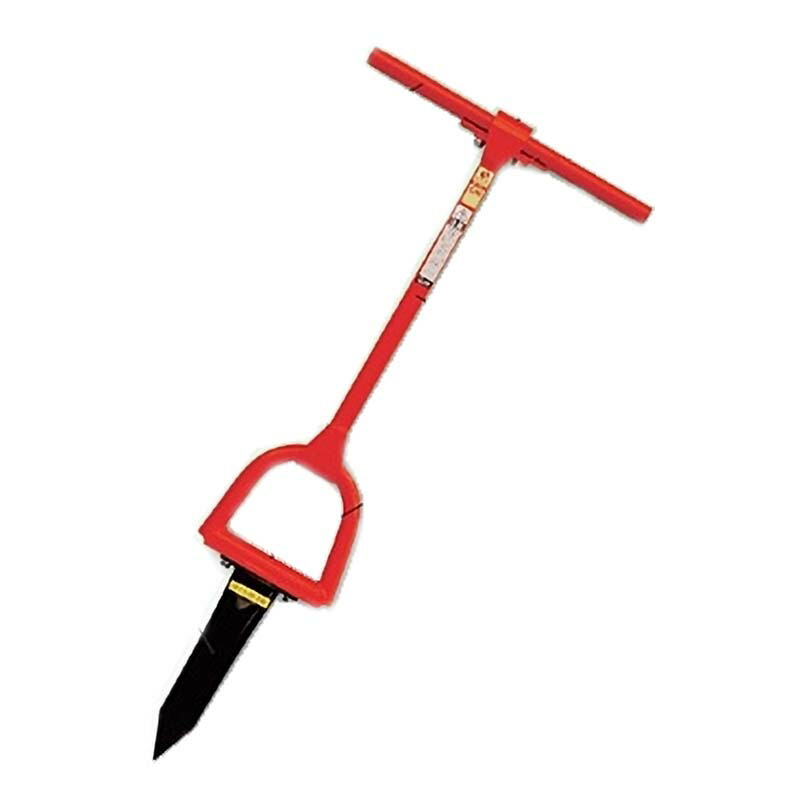 専用苗 9035841.jpg