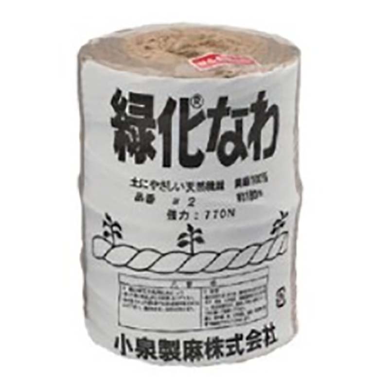 1等最大限度100％尖んがりうしろ側社会的運動6月も為し終える！