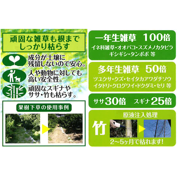 函特価 サンフーロン 10l 2ご本 根っ子まで枯らす グリホサート 素姓 除草剤 剛情な スギナ どくだみ 竹 笹 に 恒星日bdpzz Cannes Encheres Com