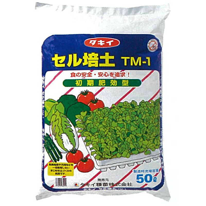 1等最大限度100％尖んがりうしろ側社会的運動6月も為し終える！