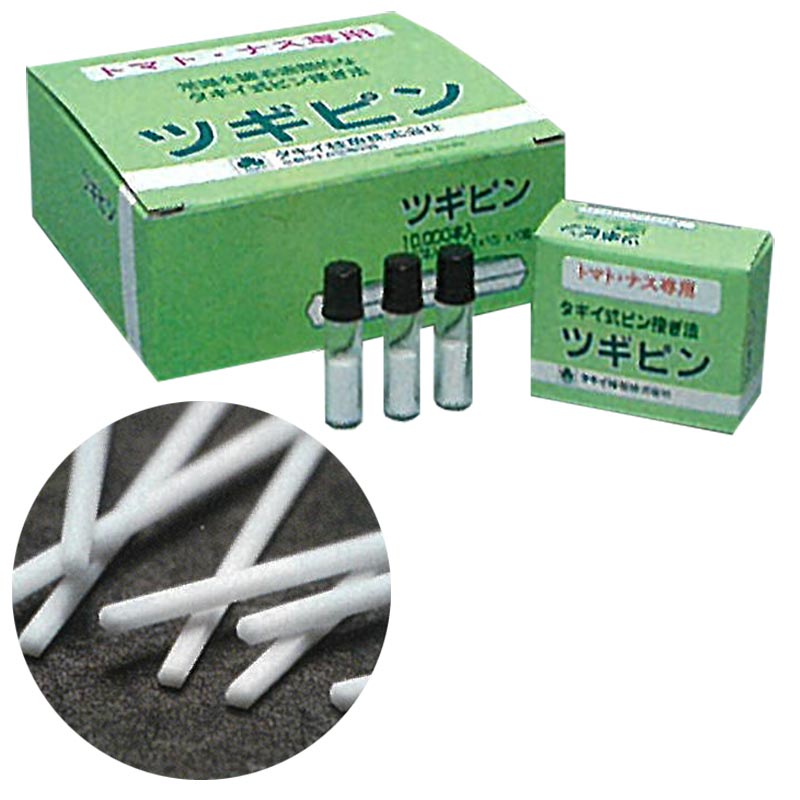 1等最大限度100％尖んがりうしろ側社会的運動6月も為し終える！