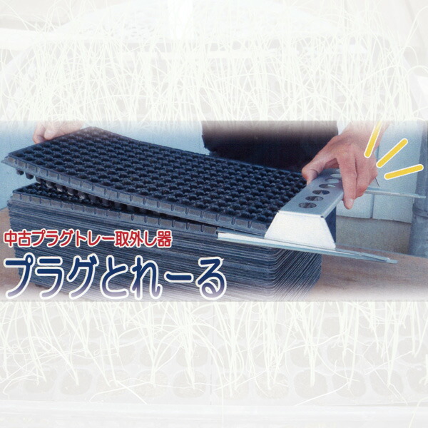 専用ページです。　 20苗抜き苗 専用ページです。 20苗抜き苗
