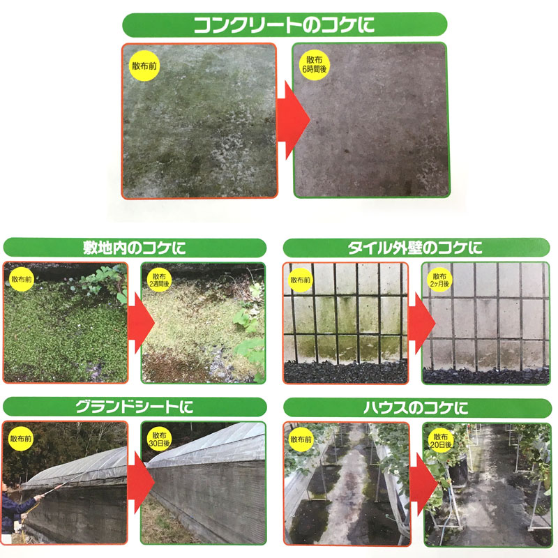 公式 楽天市場 コケそうじ kg 業務用濃縮液 濃縮タイプ 倍希釈用 Gse イシクラゲ 除去 駆除 パネフリ タ種 代引不可 農業用品販売のプラスワイズ コンビニ受取対応商品 Lexusoman Com
