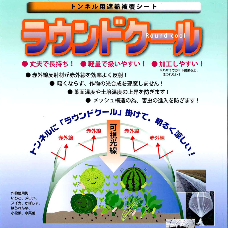 スノーテックス