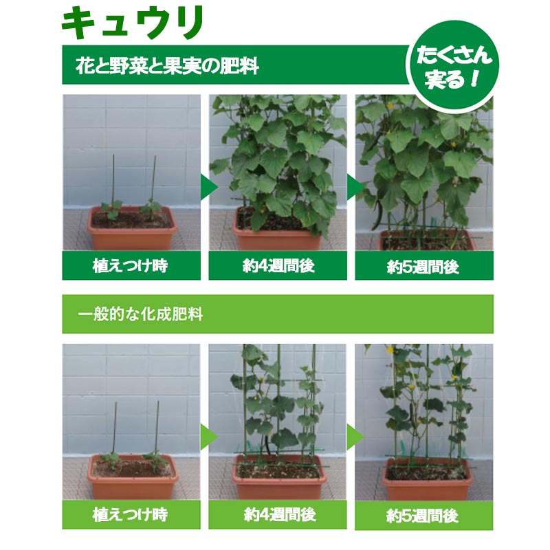 本格派ま！ ハイポネックス プランティア 花と野菜と果実の肥料 700g 肥料 有機入り 緩効性肥料 家庭菜園 元肥 追肥 タ種 D  www.tonna.com