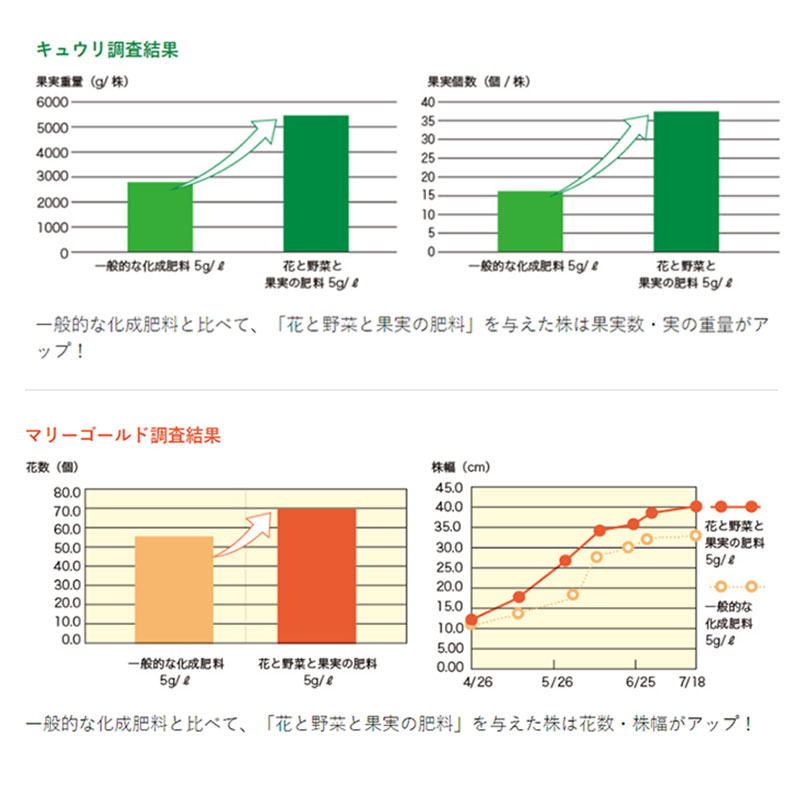 本格派ま！ ハイポネックス プランティア 花と野菜と果実の肥料 700g 肥料 有機入り 緩効性肥料 家庭菜園 元肥 追肥 タ種 D  www.tonna.com