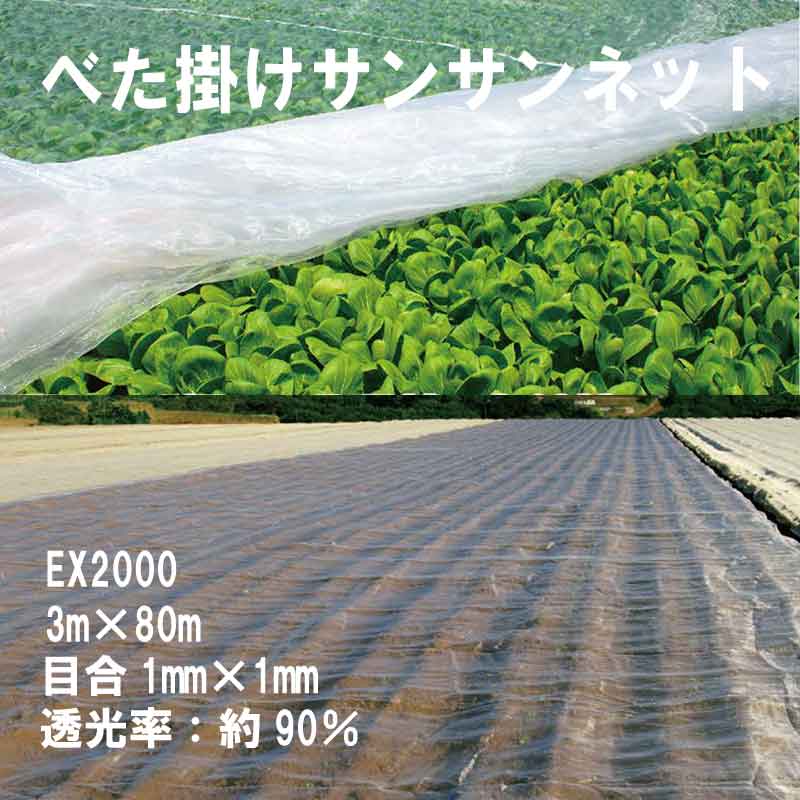 3m × 80m ベタ掛け EX2000 台風対策 防虫サンサンネット ゲリラ豪雨対策