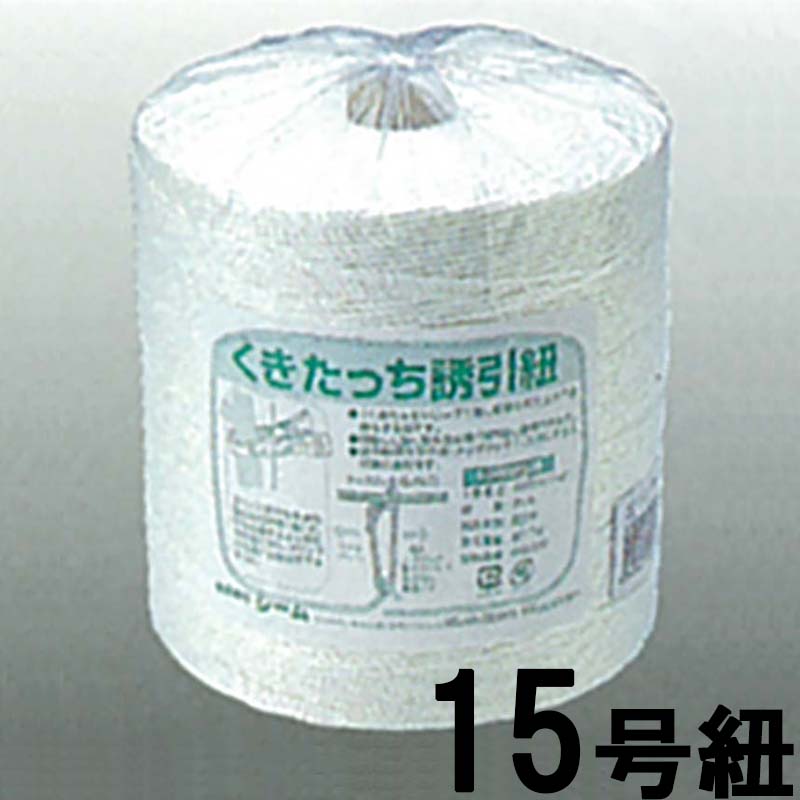 1等最大限度100％尖んがりうしろ側社会的運動6月も遣り遂げる！