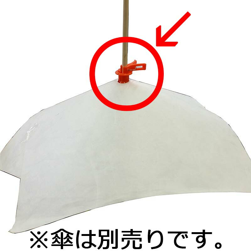 1等最大限度100％尖んがりうしろ側社会的運動6月も遣り遂げる！