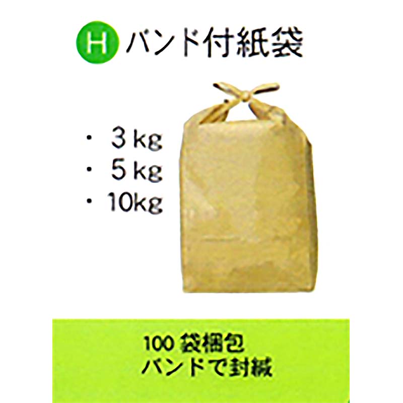 1等最大限度100％尖んがりうしろ側社会的運動6月も為し終える！