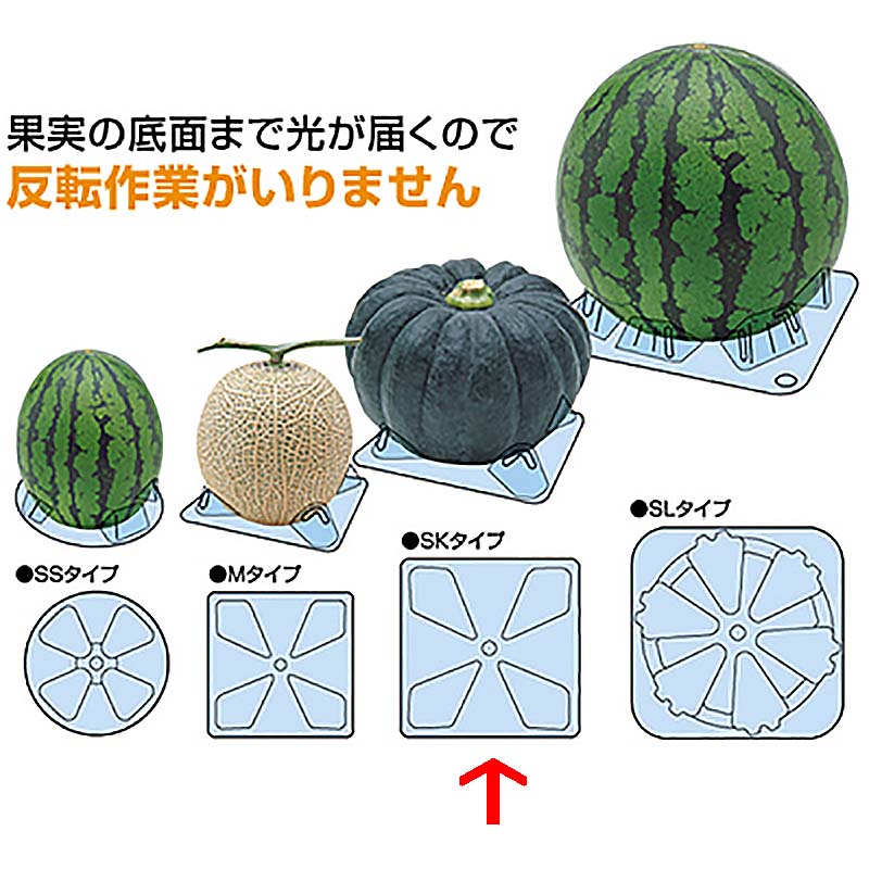 1等最大限度100％尖んがりうしろ側社会的運動6月も為し終える！