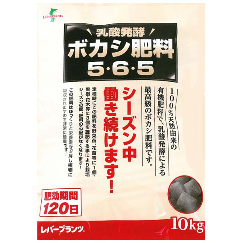 1等最高限度100％尖んがりうしろ側組織的運動6月も為し終える！