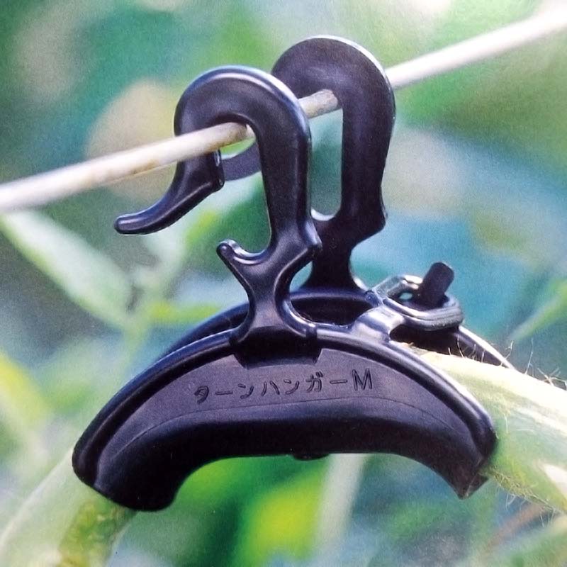 楽天市場】【100%ポイントバック エントリー＆抽選2/25まで】1800個