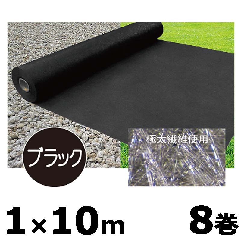 1等最大限度100％尖んがりうしろ側社会的運動6月も為しとげる！