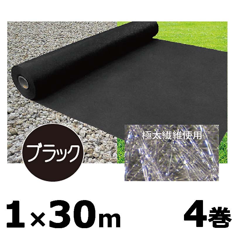 1等最高限度100％尖んがりうしろ側組織的運動6月も為し終える！
