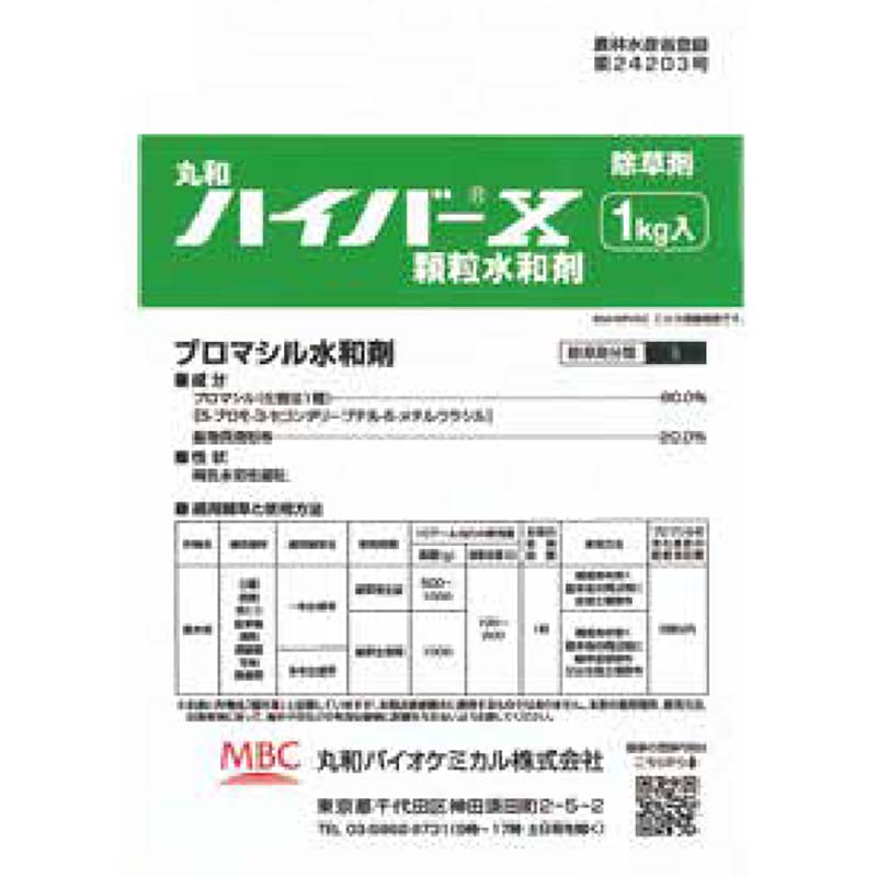 1等最大限度100％尖んがりうしろ側社会的運動6月も執り行なう！