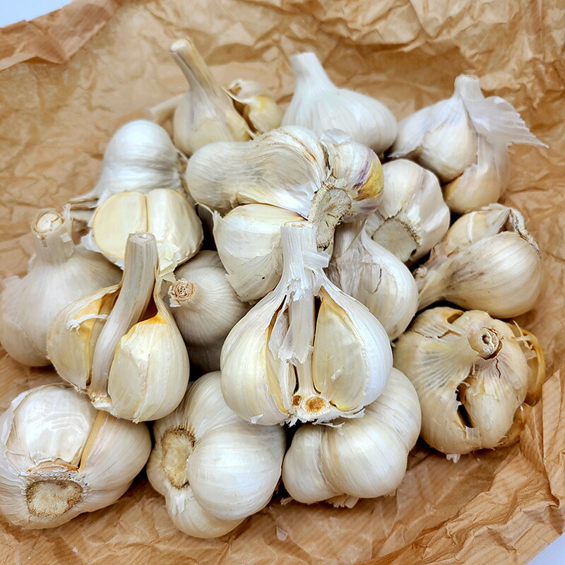 楽天市場】無臭にんにく 球根 種 200g 約12球 8〜11月植え 6〜8月