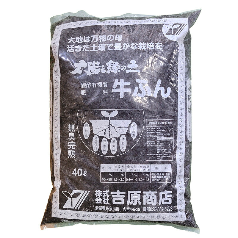 1等最大限度100％尖んがりうしろ側社会的運動6月も執り行なう！