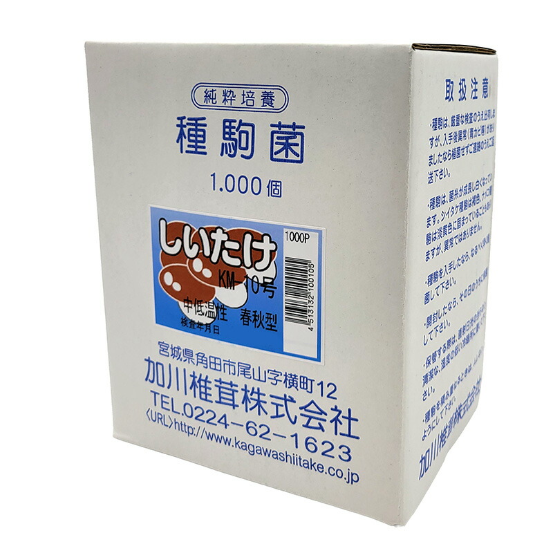 楽天市場】PVP きのこ種駒 シイタケ すその620 500個 丸棒型