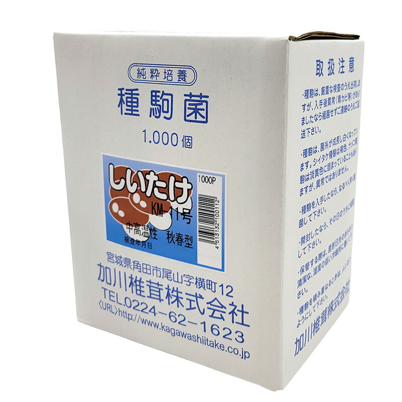 楽天市場】きのこ種駒 シイタケ すその360 500個 丸棒型【しいたけ種