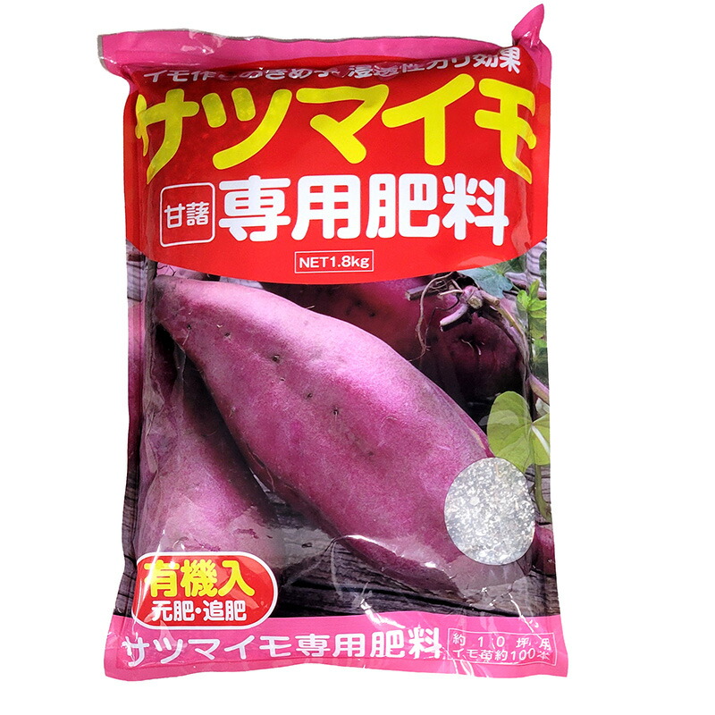 1等最大限度100％尖んがりうしろ側社会的運動6月も為し終える！