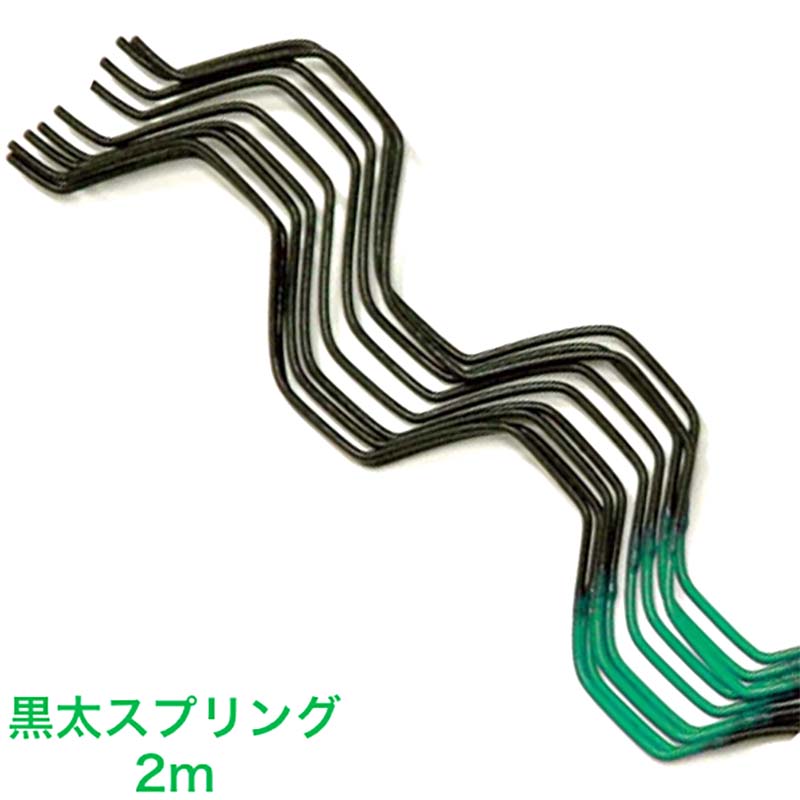 1等最大限度100％尖んがりうしろ側社会的運動6月も為し終える！
