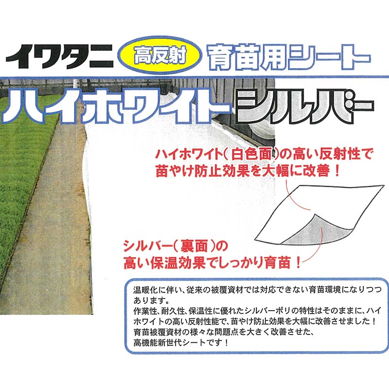 ハイホワイトシルバー2.3×100m育苗用シート水稲用苗焼け防止高反射保温岩谷マテリアルタ種D