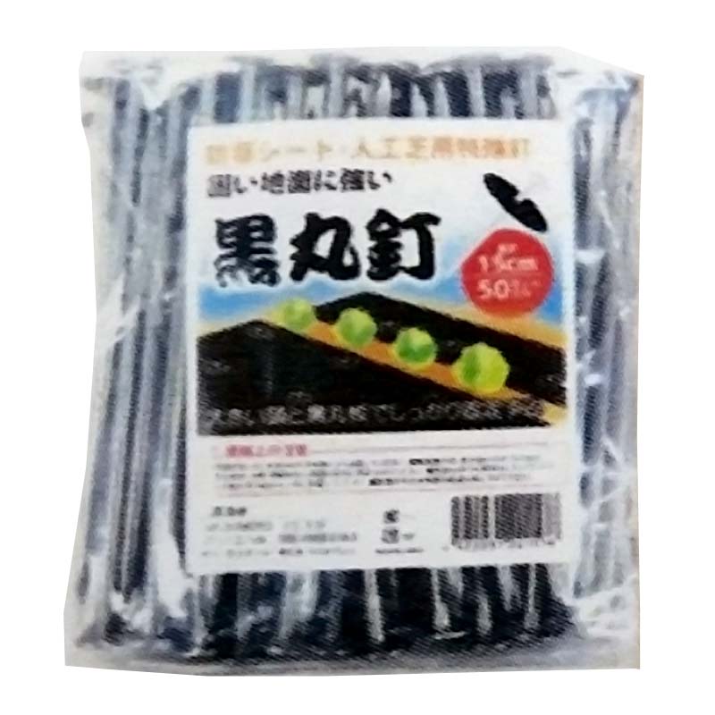 1等最大限度100％尖んがりうしろ側社会的運動6月も為し終える！
